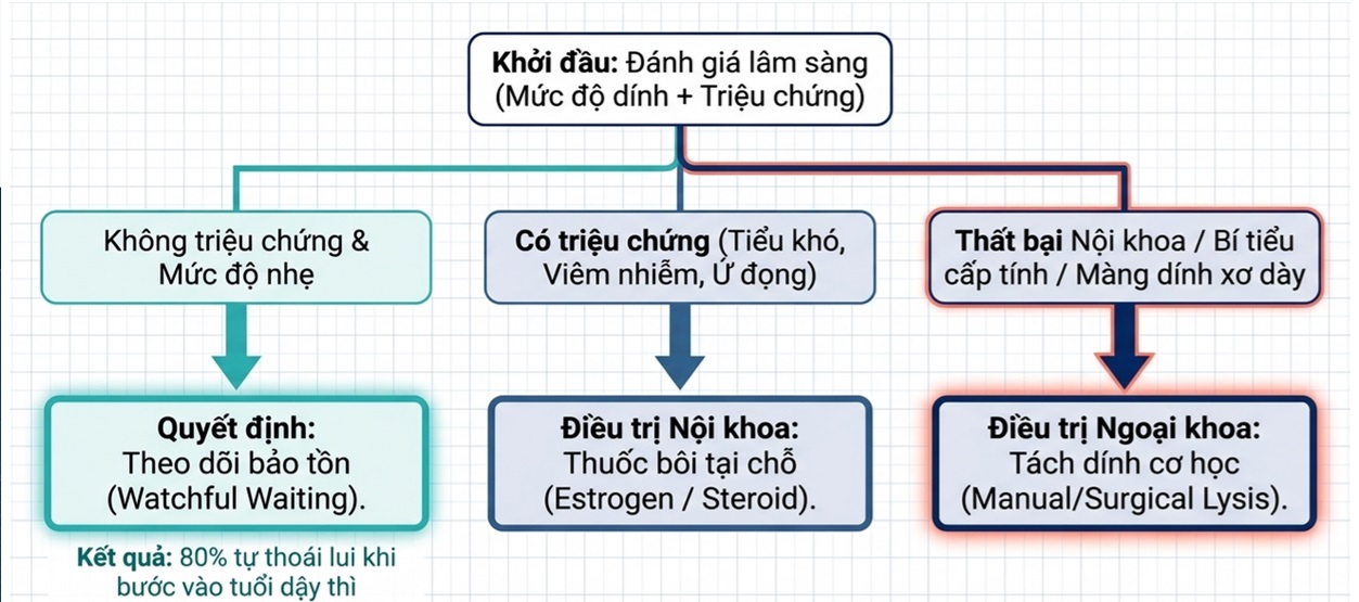 Bệnh viện 22-12 | Dính môi bé ở trẻ em Bệnh viện 22-12 | Dính môi bé ở trẻ em